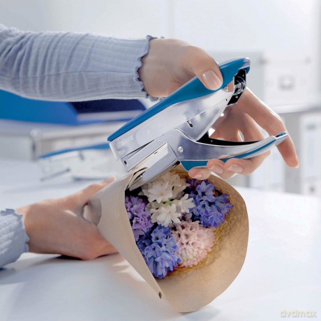 LEITZ Heftzange 5548