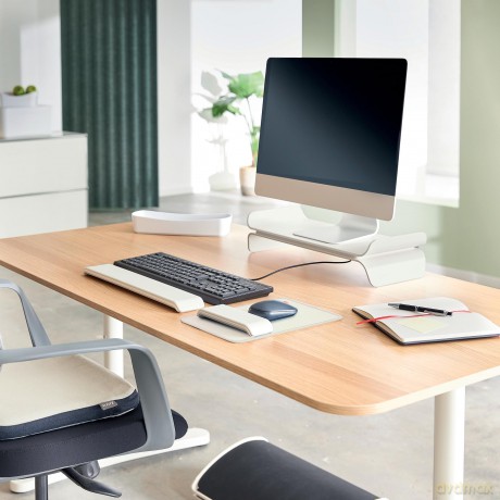 LEITZ Monitorstnder Ergo hellgrau