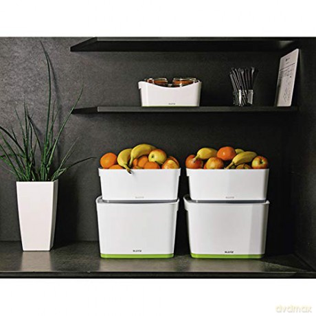 LEITZ MyBox Aufbewahrungsbox 18,0 l perl