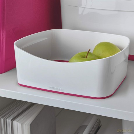 LEITZ MyBox Aufbewahrungsbox 3,0 l perlw