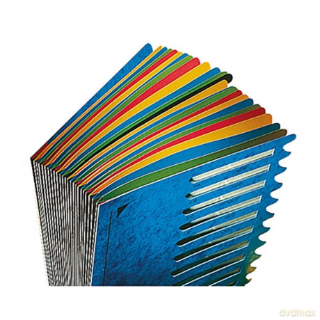 LEITZ Ordnungsmappe 5912 12 Fcher blau
