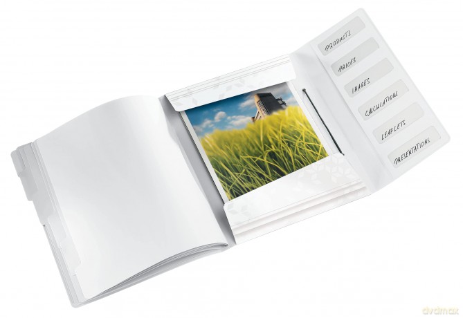 LEITZ Ordnungsmappe WOW 4633 6 Fcher we
