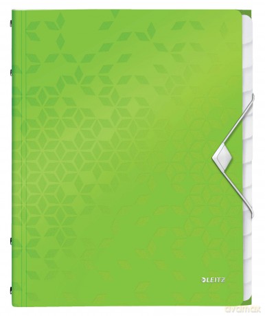 LEITZ Ordnungsmappe WOW 4634 12 Fcher g