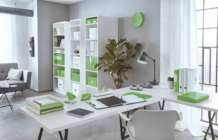 LEITZ Ordnungsmappe WOW 4634 12 Fcher g