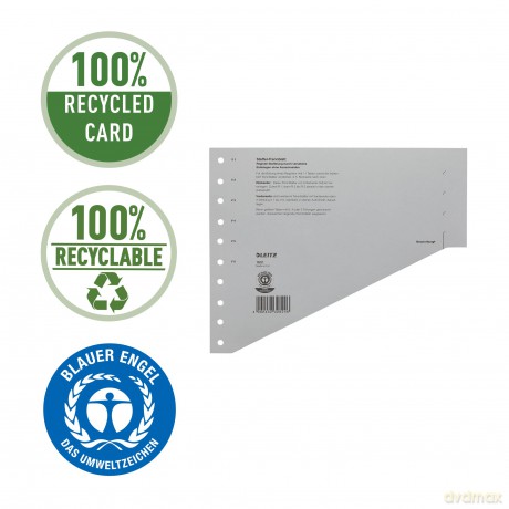 LEITZ Staffel-Trennbltt.100x