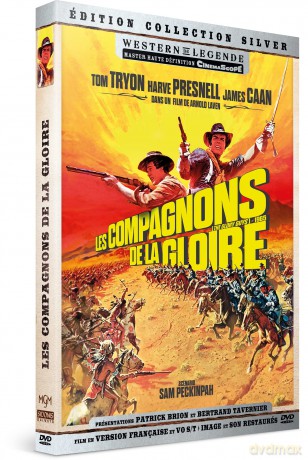 Les Compagnons De La Gloire [DVD]