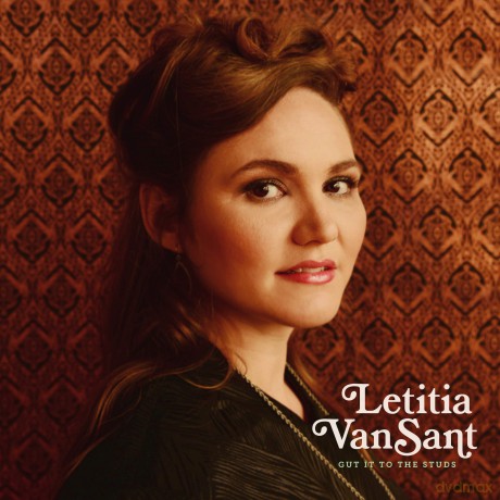 Letitia Vansant-Gut It To The Studs: Letitia Vansant-Gut It To The Studs [CD]