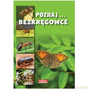 Bezkręgowce Poznaj [KSIĄŻKA]