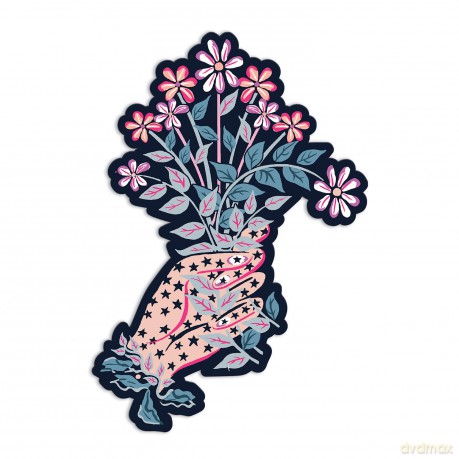 Liberty Ianthe Hand Shaped Notecard Set [KSIĄŻKA]