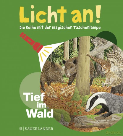 Licht an 04 Tief im Wald