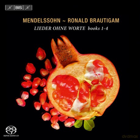 Brautigam,Ronald: Lieder Ohne Worte [CD]