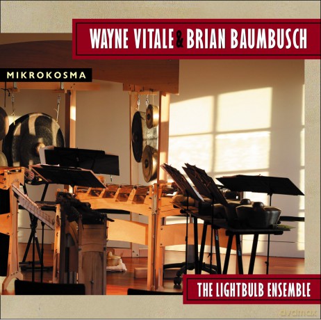 Lightbulb Ensemble The-Mikrokosma: Lightbulb Ensemble The-Mikrokosma [CD]