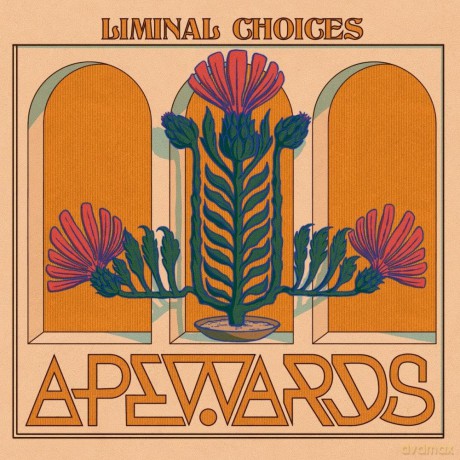 Apewards: Liminal Choices [CD]