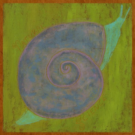 Lindsay Reamer-Natural Science: Lindsay Reamer-Natural Science [CD]