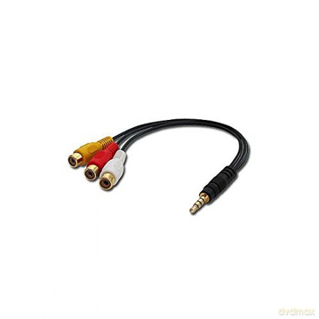 LINDY AudiVideo Adapter 3.5-3xRCA Video