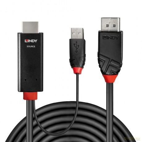 LINDY HDMI an DisplayPort Adapterkabel 1
