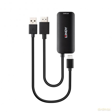 LINDY Konverter HDMI auf USB Typ C mit U