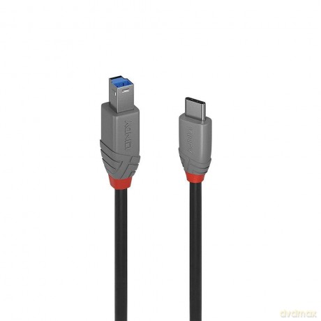 LINDY USB 3.2 Kabel Typ CB Anthra Line 2