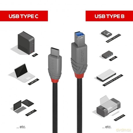 LINDY USB 3.2 Kabel Typ CB Anthra Line 2
