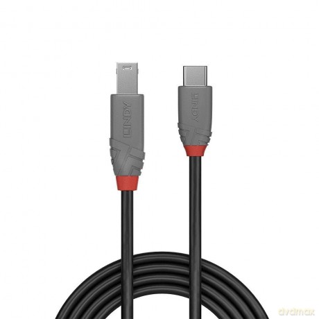 LINDY USB 3.2 Kabel Typ CB Anthra Line 2