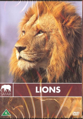 Lions - Safari New [DVD]