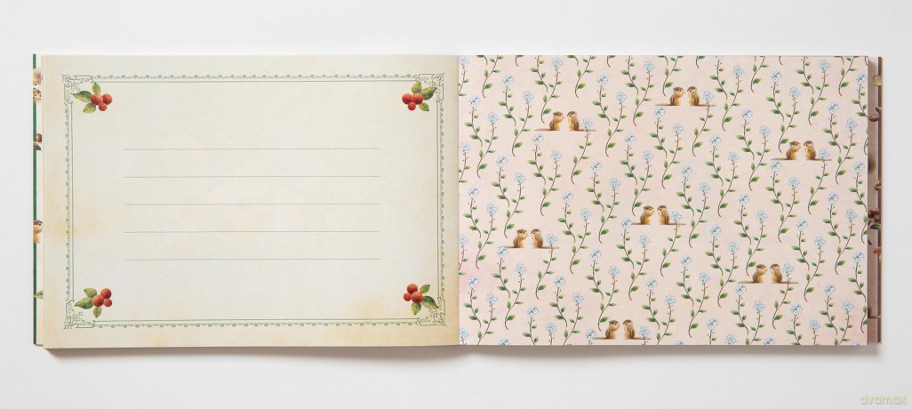 Little Animals Forest 100 Writing [KSIĄŻKA]