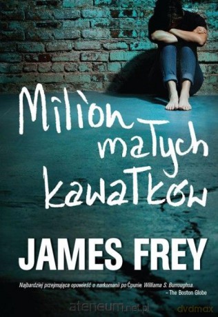 Milion Małych Kawałków - James Frey [KSIĄŻKA]
