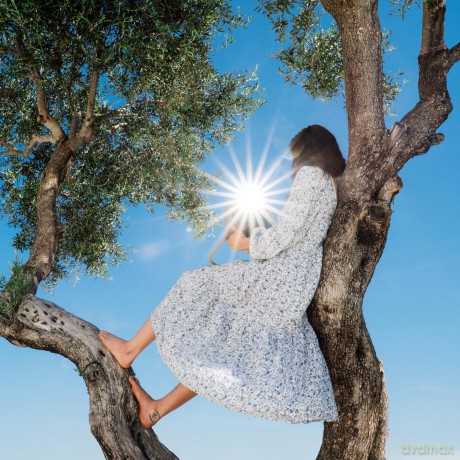 Eaves Wilder: Little Miss Sunshine [CD]