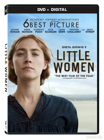 Little Women (2019) [DVD]