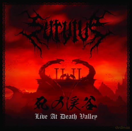 Survive: Live At Death Valley [CD]