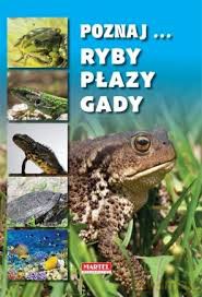 Ryby Płazy Gady Poznaj [KSIĄŻKA]