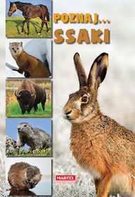 Ssaki Poznaj [KSIĄŻKA]