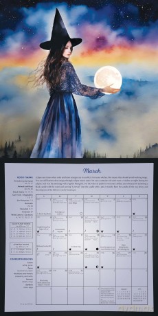 Llewellyns 2026 Magical Moon Cal [KSIĄŻKA]