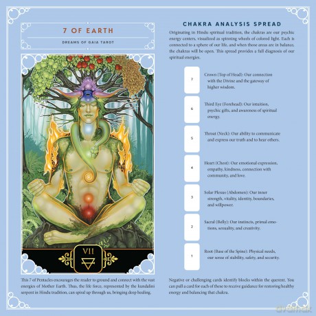 Llewellyns 2026 Tarot Calendar [KSIĄŻKA]