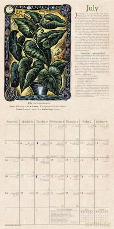Llewellyns 2026 Witches Calenda [KSIĄŻKA]