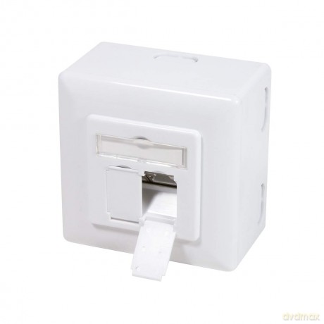 LogiLink CAT 6 Auf und Unterputzdose vol