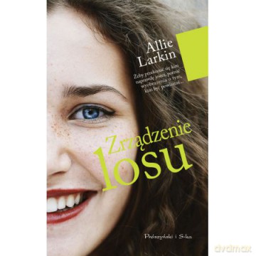 Zrządzenie Losu - Allie Larkin [KSIĄŻKA]