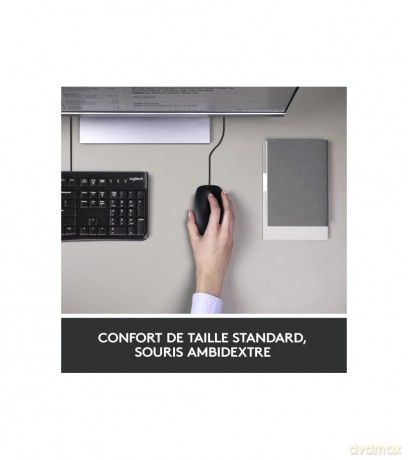 Logitech Desktop MK120 (FR) black/noir