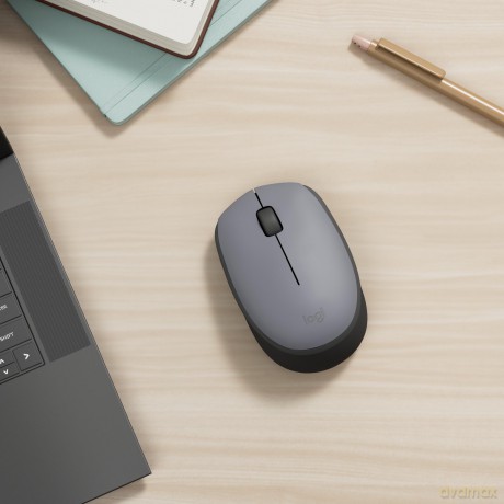 Logitech Mouse M170