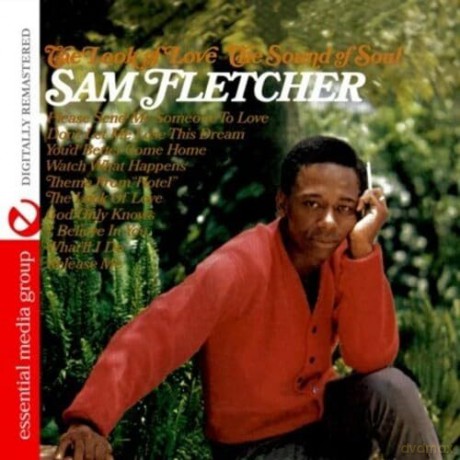 Fletcher,Sam: Look Of Love - The Sound Of Soul [CD]