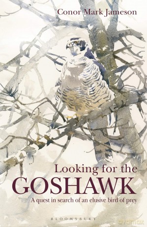 Looking for the Goshawk [KSIĄŻKA]