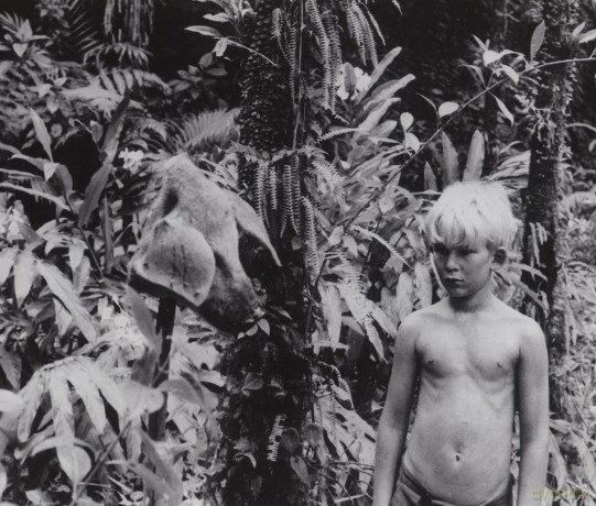 Lord Of The Flies [2DVD]