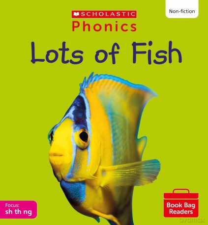 Lots Of Fish Set 4 [KSIĄŻKA]