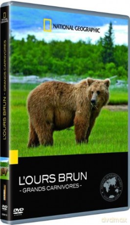 L'ours Brun [DVD]