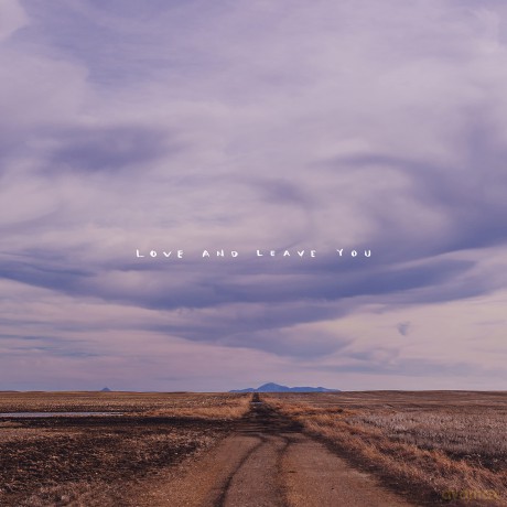 100 Mile House: Love And Leave You [CD]