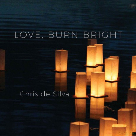 Silva,Chris De: Love Burn Bright [CD]