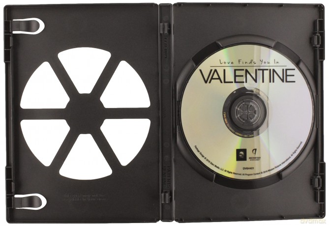 Love Finds You In Valentine [DVD]