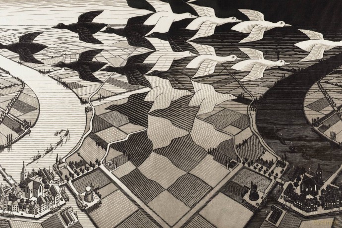 M.C.Escher-Reise In Die Unendlichkeit (S [DVD]