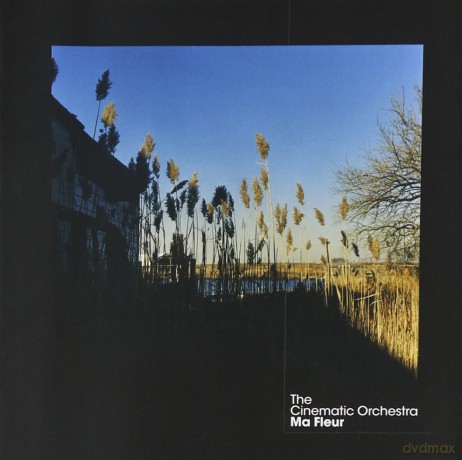 Cinematic Orchestra: Ma Fleur [CD]