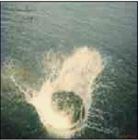 Mountain Man: Made the Harbor [CD]